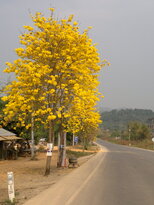 thumb_020320111451.jpg