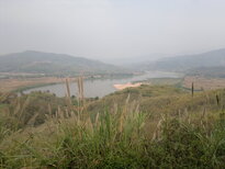 thumb_020320111455.jpg