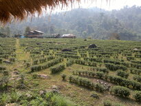 thumb_020320111456.jpg