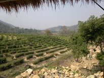 thumb_020320111457.jpg