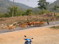 thumb_020320111459.jpg