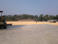 thumb_020320111460.jpg