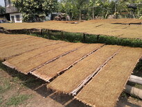 thumb_020320111461.jpg