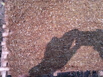 thumb_020320111462.jpg