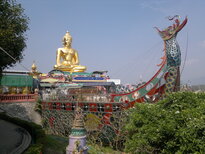 thumb_020320111478.jpg