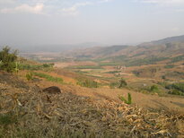 thumb_020320111489.jpg