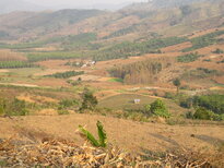 thumb_020320111490.jpg