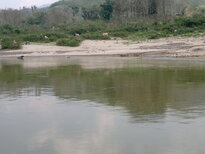 thumb_040320111533.jpg