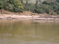 thumb_040320111534.jpg