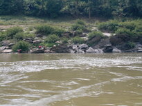 thumb_050320111566.jpg