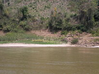 thumb_050320111569.jpg