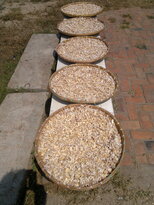 thumb_060320111593.jpg