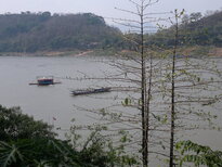 thumb_060320111595.jpg