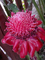 thumb_070320111606.jpg