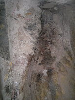 thumb_070320111624.jpg