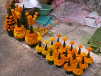 thumb_080320111627.jpg