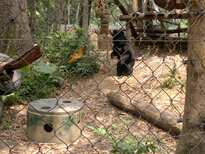 thumb_080320111630.jpg