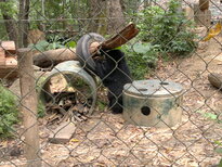thumb_080320111631.jpg