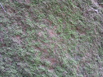 thumb_080320111643.jpg