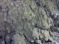 thumb_080320111644.jpg