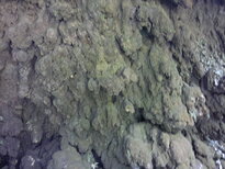 thumb_080320111645.jpg