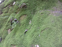 thumb_080320111646.jpg