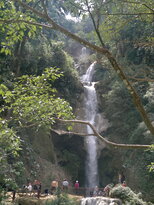 thumb_080320111650.jpg