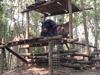 thumb_080320111660.jpg