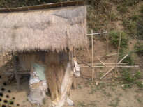 thumb_090320111677.jpg