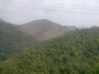 thumb_090320111679.jpg