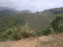 thumb_090320111680.jpg