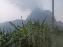 thumb_090320111695.jpg