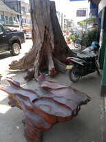 thumb_110320111713.jpg