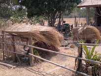 thumb_130320111763.jpg