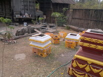 thumb_130320111774.jpg