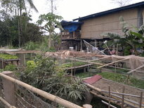 thumb_130320111778.jpg