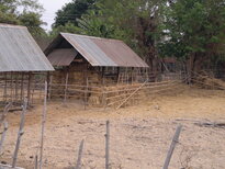 thumb_130320111779.jpg