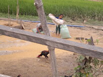thumb_130320111782.jpg