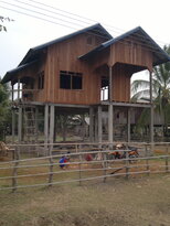 thumb_130320111783.jpg