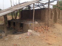 thumb_130320111787.jpg