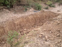 thumb_130320111793.jpg