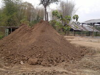 thumb_130320111794.jpg