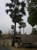 thumb_130320111799.jpg
