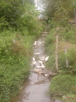 thumb_130320111809.jpg