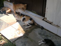 thumb_140320111813.jpg