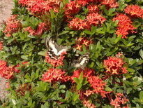 thumb_140320111814.jpg