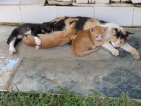 thumb_140320111816.jpg