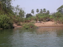 thumb_150320111829.jpg