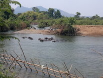 thumb_150320111838.jpg