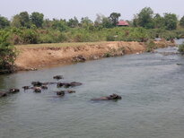 thumb_150320111839.jpg